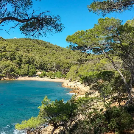 La Cigale By Interhome Appartamento